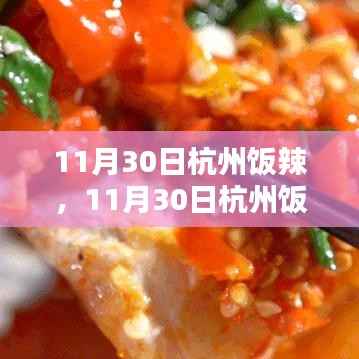 11月30日杭州饭辣,深度评测与介绍