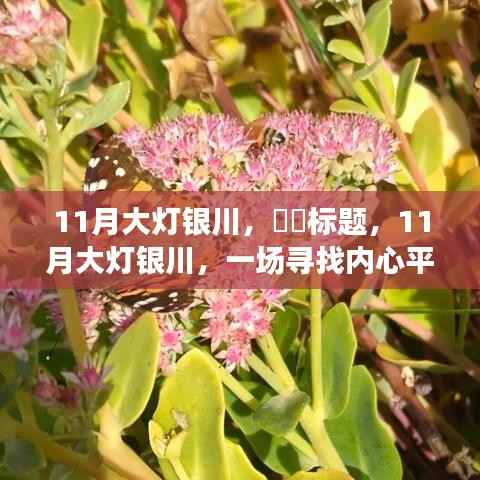 11月大灯下的银川,寻找内心平静的奇妙之旅