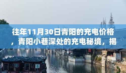 揭秘青阳小巷深处的充电秘境,往年11月30日的充电价格传奇回顾