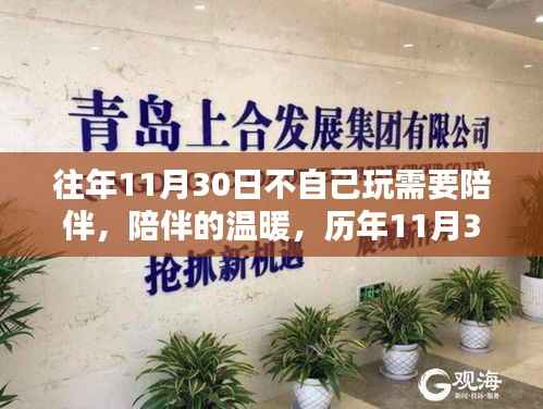 历年11月30日的陪伴时光,温暖陪伴驱散孤独的日子回顾