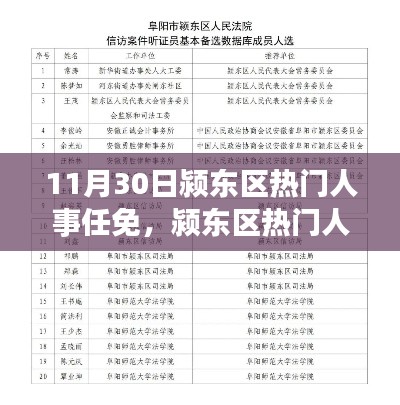 11月30日颍东区人事任免详解与指南