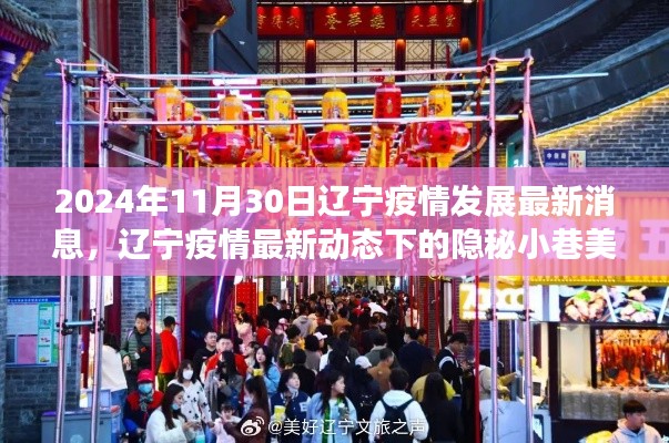 辽宁疫情最新动态下的隐秘小巷美食探秘,疫情发展最新消息