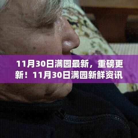 11月30日满园最新重磅更新揭秘,新鲜资讯一网打尽