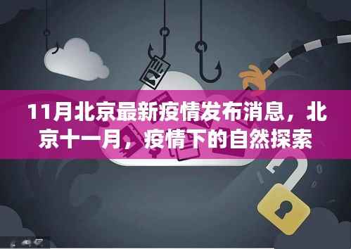 北京疫情下的自然探索之旅,寻找内心的宁静与微笑的力量