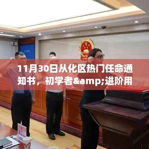11月30日从化区热门任命通知书,初学者与进阶用户办理步骤详解