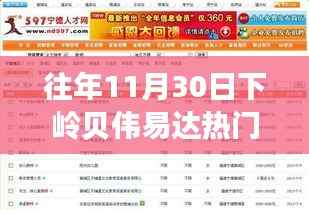 往年11月30日下岭贝伟易达热门招聘全解析,职场未来的关键在这里!