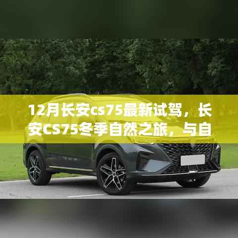 长安CS75冬季自然之旅,与自然共舞,探寻内心宁静与平和的驾驶体验
