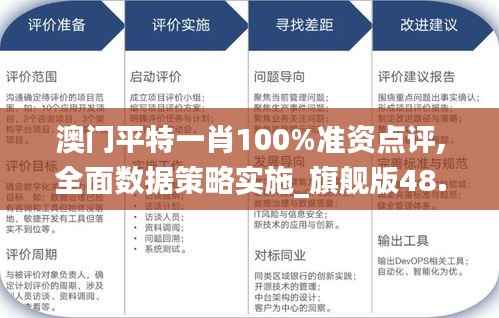 澳门平特一肖100%准资点评,全面数据策略实施_旗舰版48.864-5