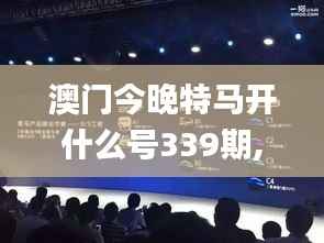 澳门今晚特马开什么号339期,持久方案设计_VR版30.808-7