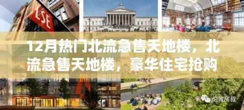 北流豪华天地楼抢购热潮来袭,急售房源引发抢购热潮