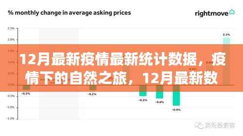 疫情下的自然之旅,最新数据与心灵的宁静之旅