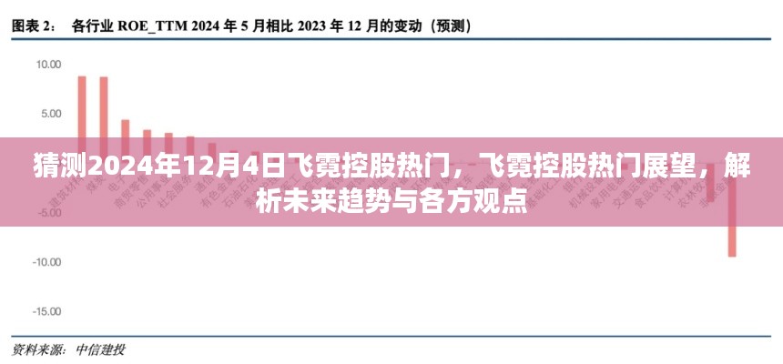 猜测2024年12月4日飞霓控股热门,飞霓控股热门展望,解析未来趋势与各方观点