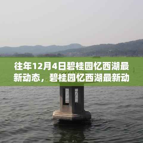 碧桂园忆西湖往年12月4日最新动态揭秘，精彩瞬间回顾