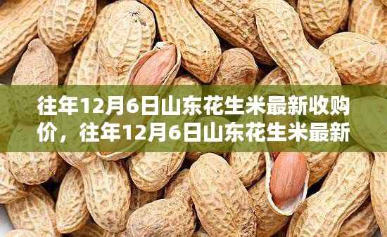 往年12月6日山东花生米最新收购价详解,查询步骤与了解指南
