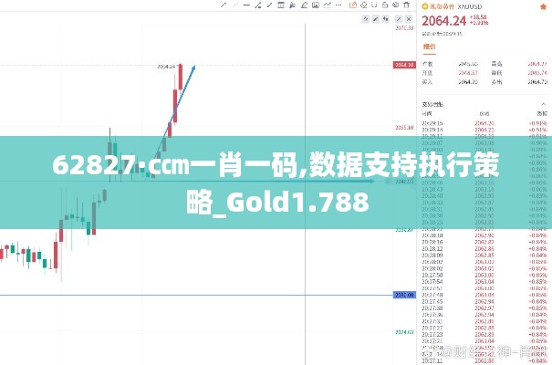 62827·c㎝一肖一码,数据支持执行策略_Gold1.788