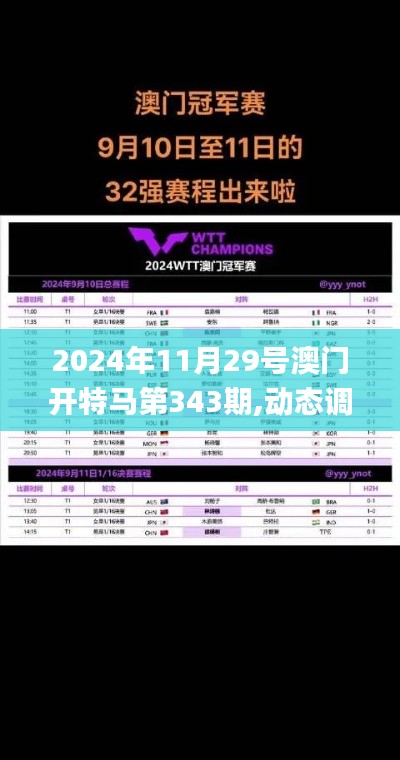 2024年11月29号澳门开特马第343期,动态调整策略执行_超值版110.230