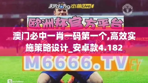 澳门必中一肖一码第一个,高效实施策略设计_安卓款4.182