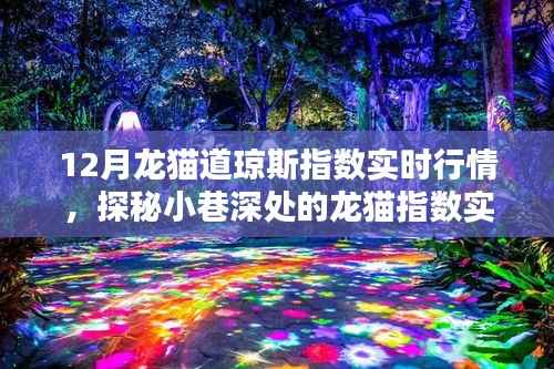 探秘小巷深处的龙猫指数实时行情馆,揭秘12月龙猫道琼斯指数实时动态,别样投资氛围体验