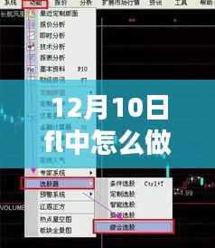 揭秘,如何在FL中进行高效的实时拉伸操作(12月10日指南)