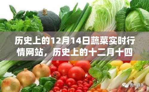 蔬菜实时行情网站演变之旅,回顾历史上的十二月十四日发展轨迹