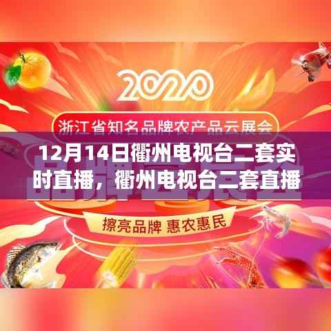 12月14日衢州电视台二套直播观看指南及入门教程（初学者篇）