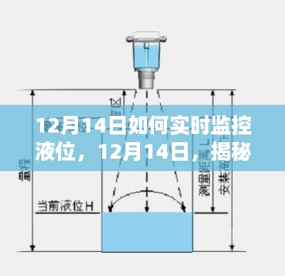 鸟面鹄形 第3页