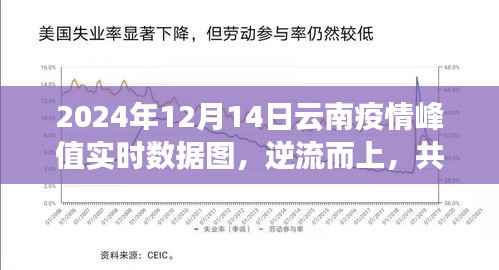 逆流而上,共克时艰,云南疫情峰值背后的力量与希望——实时数据图分析
