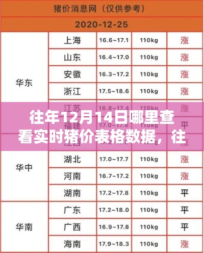 往年12月14日猪价数据深度解析,实时查询与评测指南