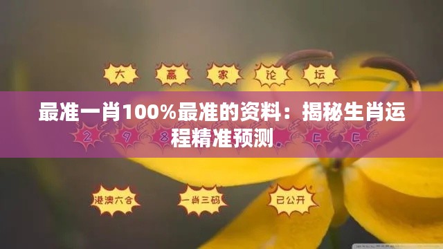 最准一肖100%最准的资料:揭秘生肖运程精准预测