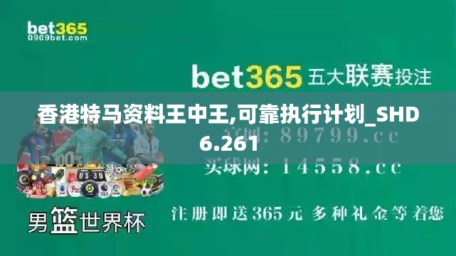 香港特马资料王中王,可靠执行计划_SHD6.261