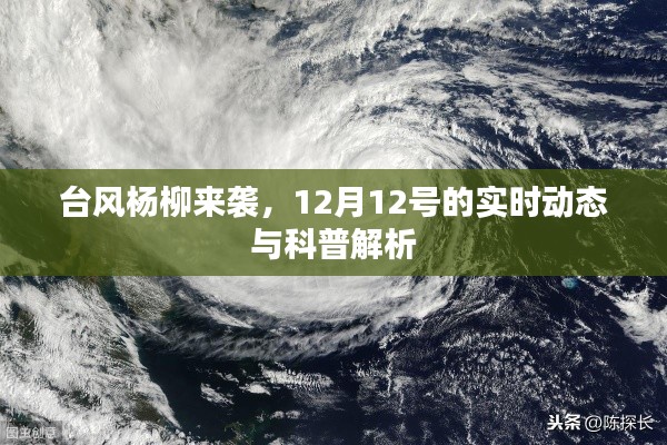 台风杨柳来袭,实时动态与科普解析(12月12日)