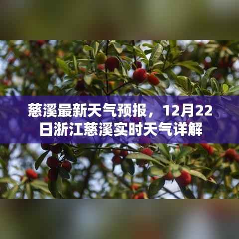 慈溪最新天气预报,12月22日实时天气详解