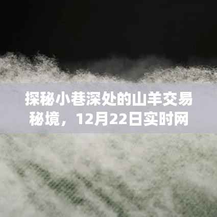 探秘小巷深处的山羊交易秘境，一场独特的实时网购奇妙之旅（12月22日）