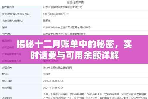 揭秘十二月账单中的秘密,实时话费与可用余额详解解析