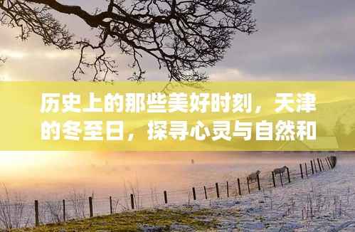 天津冬至日的心灵与自然和谐之旅,探寻历史美好时刻