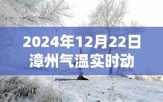 漳州气温实时动态图(2024年12月22日)