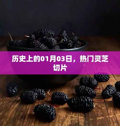 热门灵芝切片的历史起源，一月三日回顾