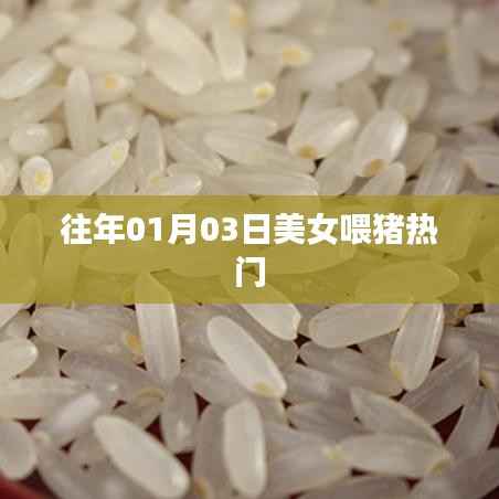 飞箭如蝗 第3页