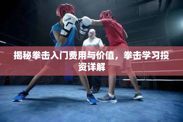 揭秘拳击入门费用与价值,拳击学习投资详解