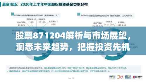 股票871204解析与市场展望，洞悉未来趋势，把握投资先机