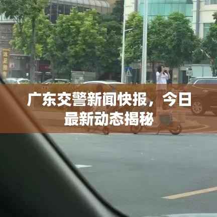 广东交警新闻快报,今日最新动态揭秘