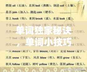 单词独家秘诀,单词小技巧