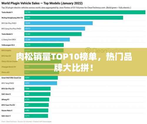 肉松销量TOP10榜单,热门品牌大比拼!