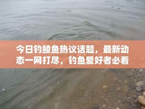 今日钓鲮鱼热议话题，最新动态一网打尽，钓鱼爱好者必看