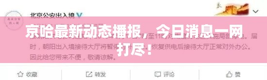 京哈最新动态播报,今日消息一网打尽!