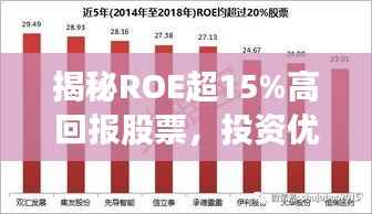 揭秘ROE超15%高回报股票，投资优选之选