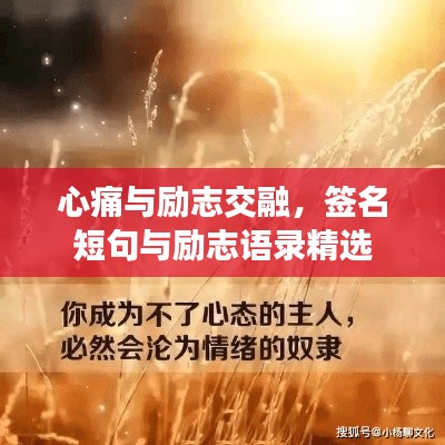 心痛与励志交融,签名短句与励志语录精选