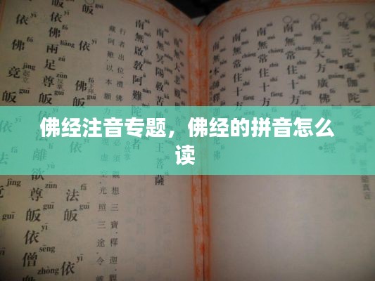 佛经注音专题,佛经的拼音怎么读