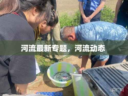 河流最新专题,河流动态