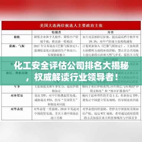 化工安全评估公司排名大揭秘,权威解读行业领导者!